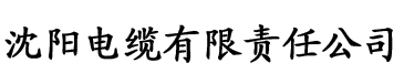 香蕉视频免费在线观看www电缆厂logo